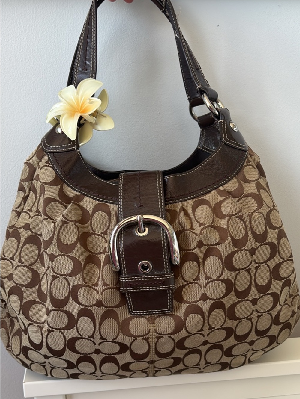 Coach Brown Canvas Soho Lynn Hobo Bag